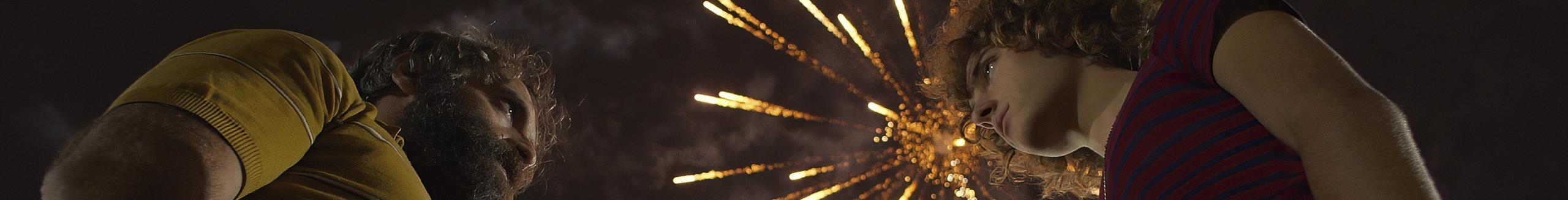 FUEGOS ARTIFICIALES