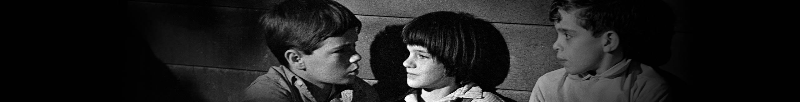 MATAR A UN RUISEÑOR