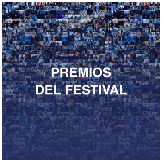 PREMIOS DEL FESTIVAL