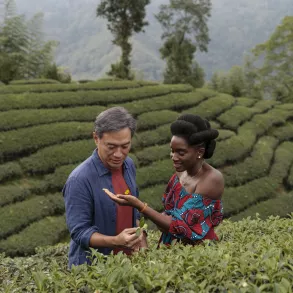 TÉ NEGRO