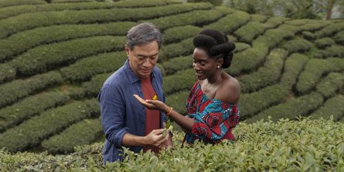 TÉ NEGRO