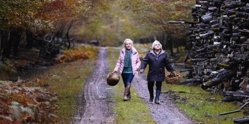CUANDO EL OTOÑO CAE