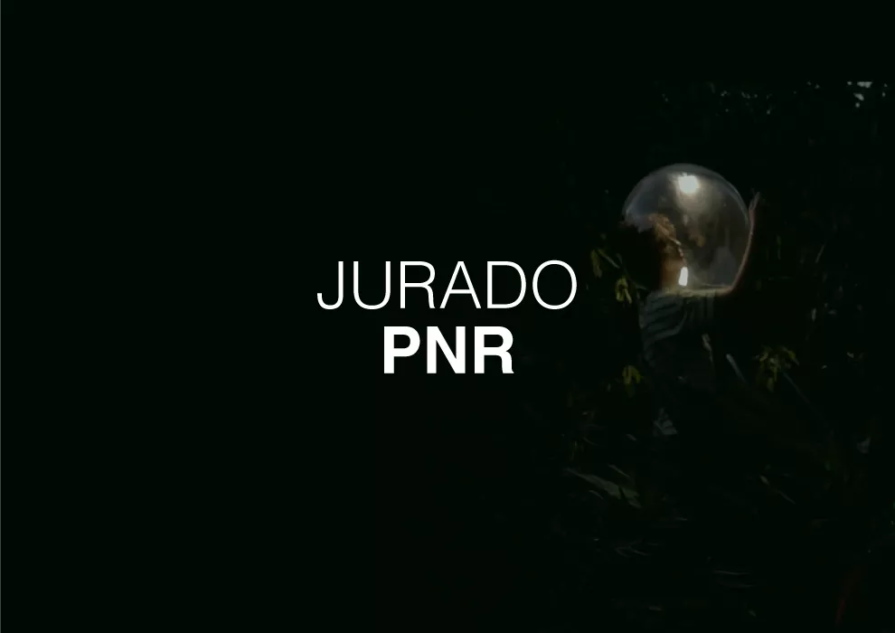 JURADO PNR