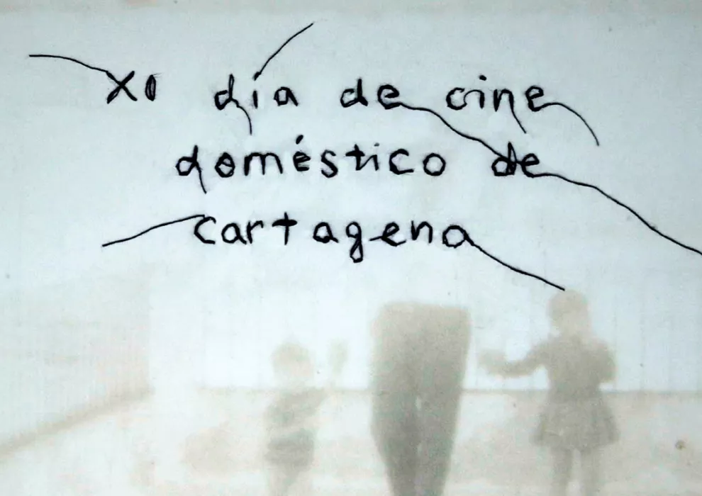 cine domestico